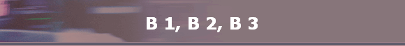 B 1, B 2, B 3 B 1, B 2, B 3