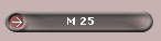 M 25