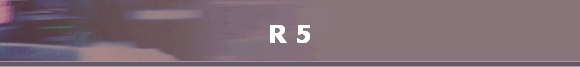 R 5 R 5