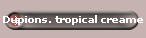 Dupions. tropical creame