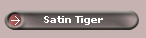 Satin Tiger
