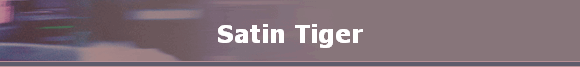 Satin Tiger