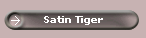 Satin Tiger